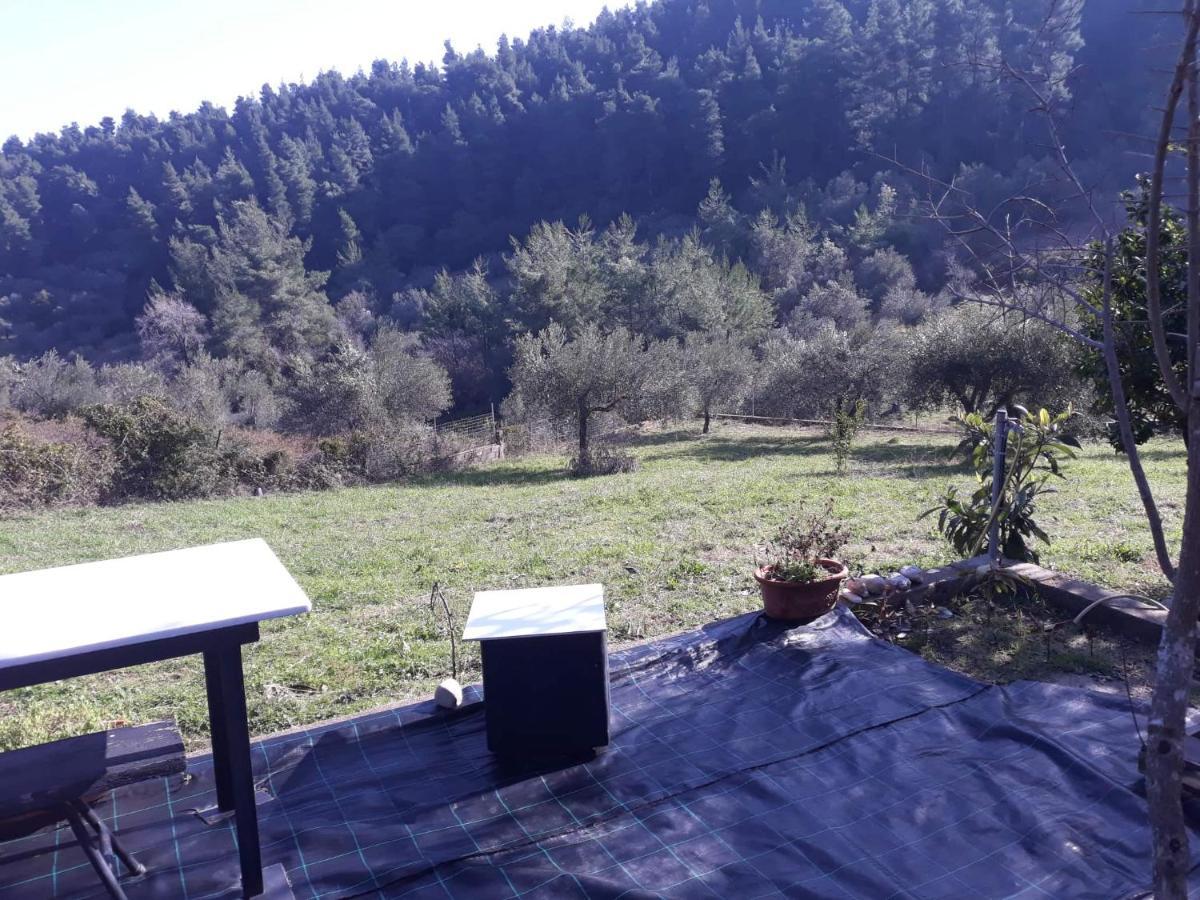 Wildherb House Agriovotano Exteriör bild
